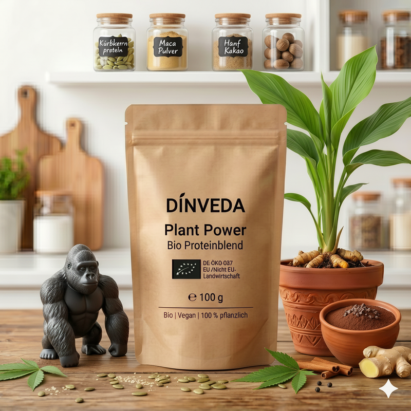 Plant Power Bio Proteinmischung mit Kürbiskernprotein, Hanfprotein, Kakao, Ceylon-Zimt und Baobab im 100 g Beutel von DinVeda